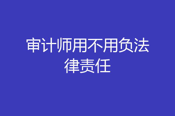 审计师用不用负法律责任