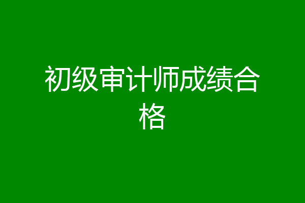 初级审计师成绩合格