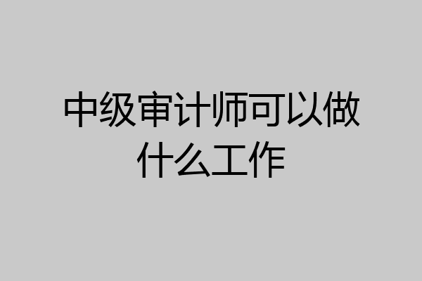 中级审计师可以做什么工作