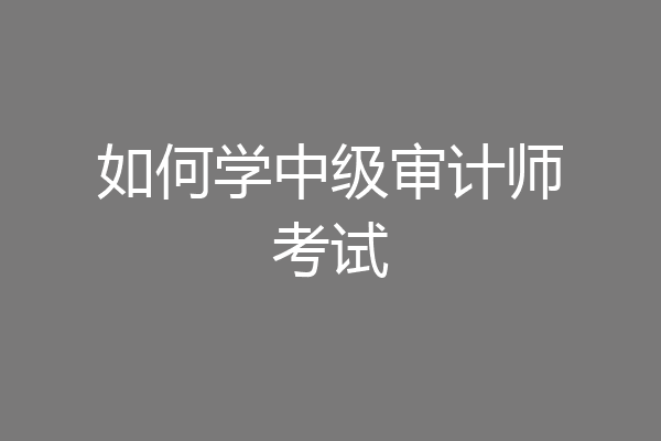 如何学中级审计师考试