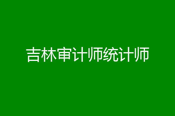 吉林审计师统计师