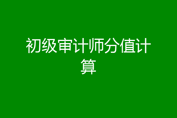 初级审计师分值计算