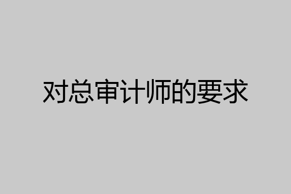 对总审计师的要求