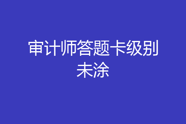 审计师答题卡级别未涂