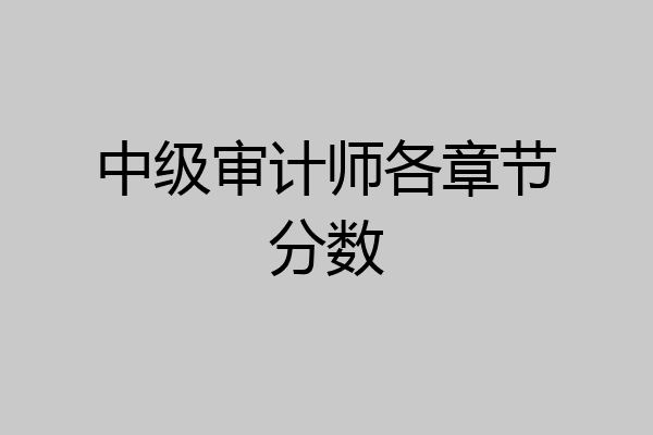 中级审计师各章节分数