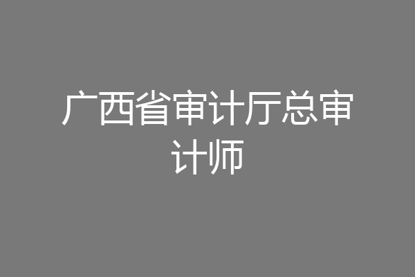 广西省审计厅总审计师