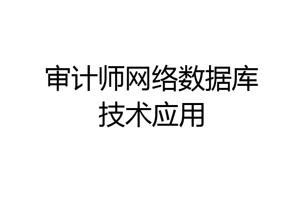 审计师网络数据库技术应用
