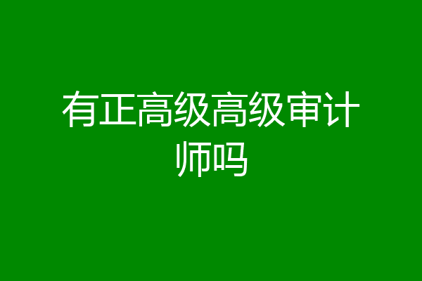 有正高级高级审计师吗
