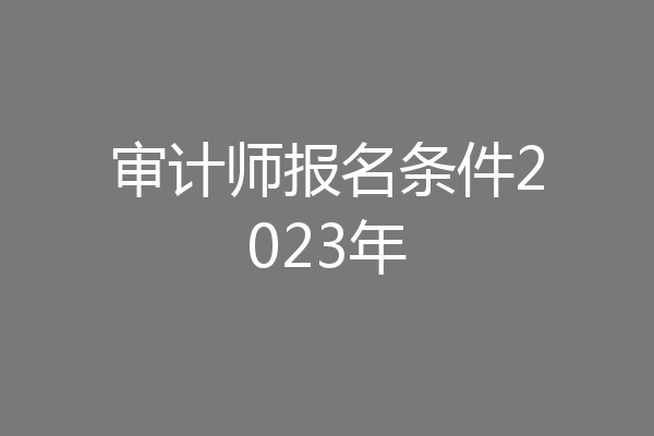 审计师报名条件2023年