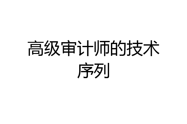 高级审计师的技术序列