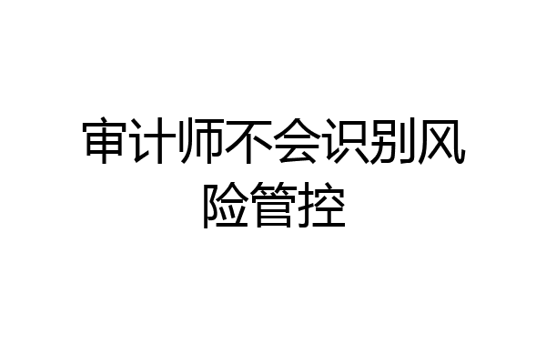 审计师不会识别风险管控