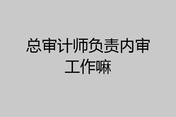 总审计师负责内审工作嘛