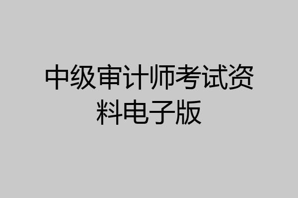 中级审计师考试资料电子版