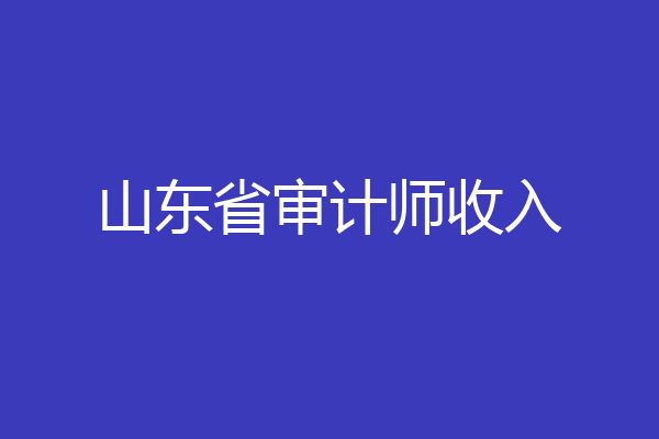 山东省审计师收入