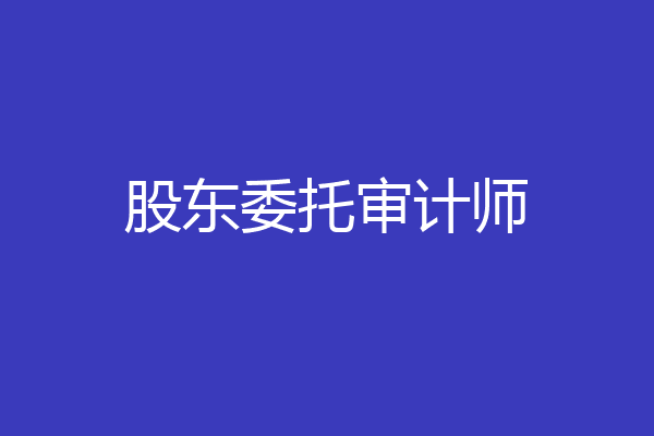 股东委托审计师