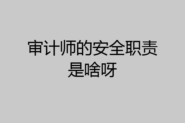 审计师的安全职责是啥呀