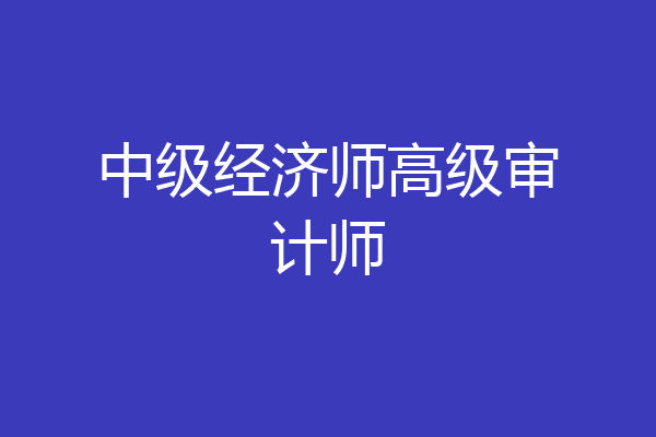 中级经济师高级审计师