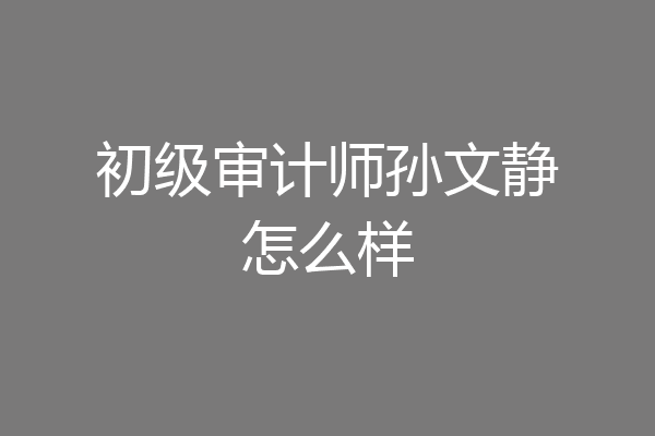初级审计师孙文静怎么样