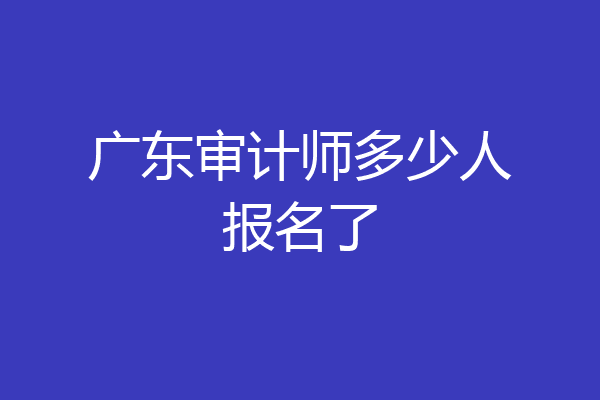 广东审计师多少人报名了