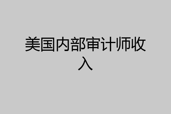 美国内部审计师收入