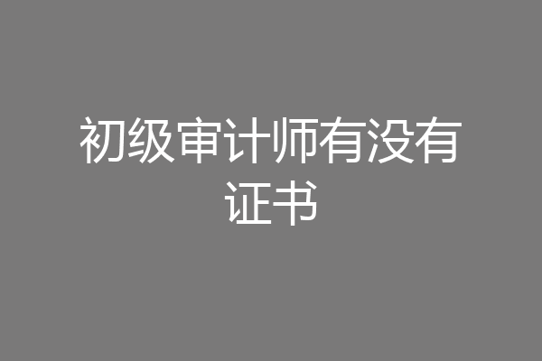 初级审计师有没有证书