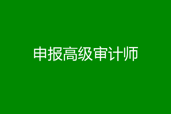 申报高级审计师
