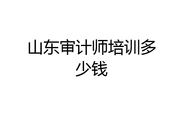 山东审计师培训多少钱