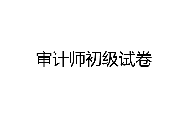 审计师初级试卷