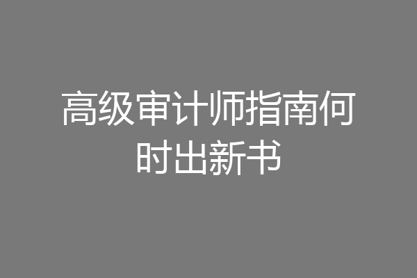 高级审计师指南何时出新书