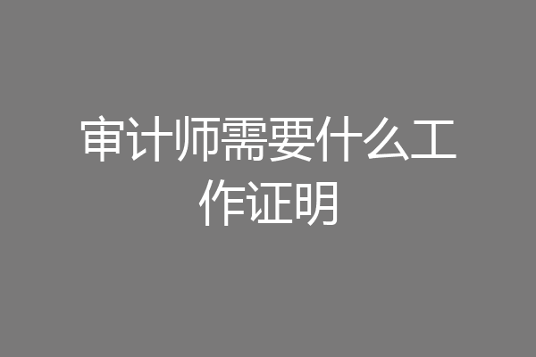 审计师需要什么工作证明