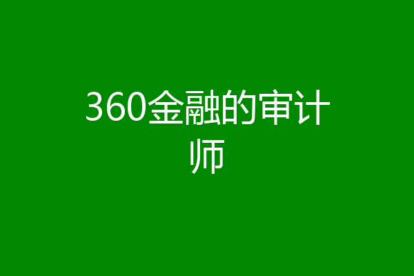 360金融的审计师