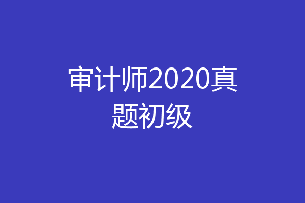 审计师2020真题初级