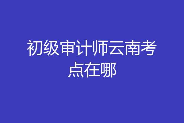 初级审计师云南考点在哪