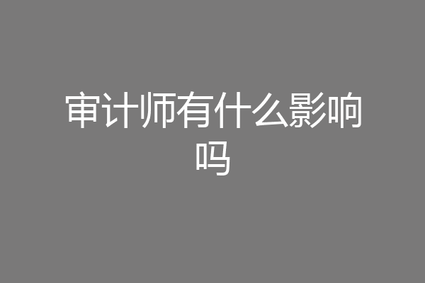 审计师有什么影响吗