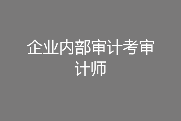 企业内部审计考审计师