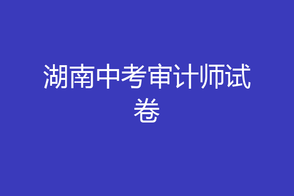 湖南中考审计师试卷
