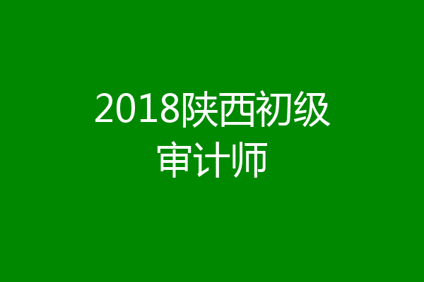 2018陕西初级审计师