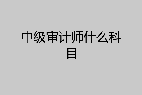 中级审计师什么科目
