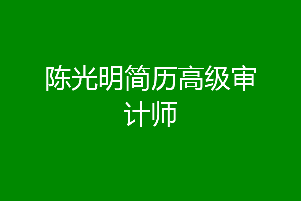 陈光明简历高级审计师