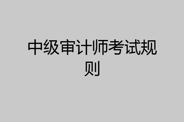 中级审计师考试规则