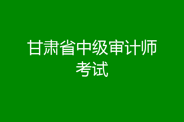 甘肃省中级审计师考试