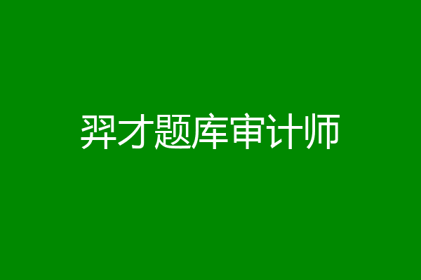 羿才题库审计师