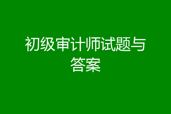 初级审计师试题与答案
