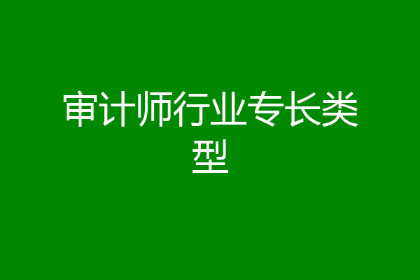 审计师行业专长类型