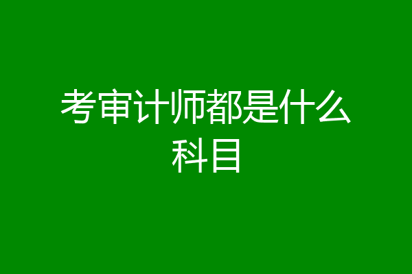 考审计师都是什么科目
