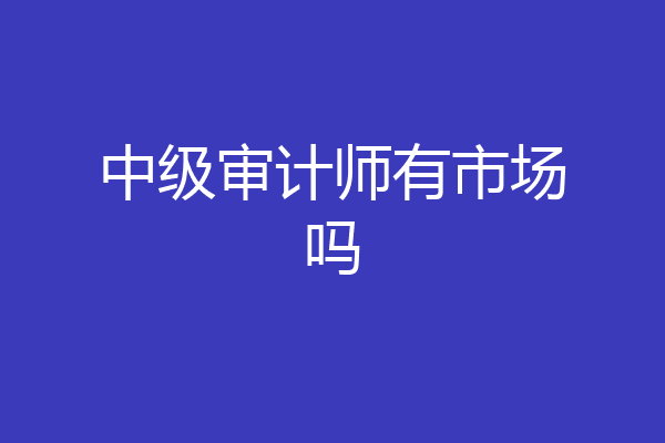 中级审计师有市场吗