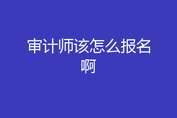 审计师该怎么报名啊