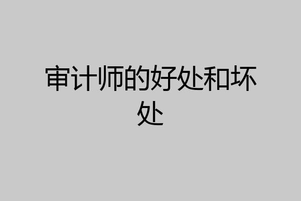 审计师的好处和坏处