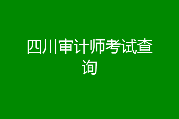 四川审计师考试查询