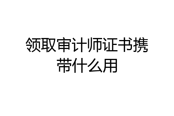 领取审计师证书携带什么用